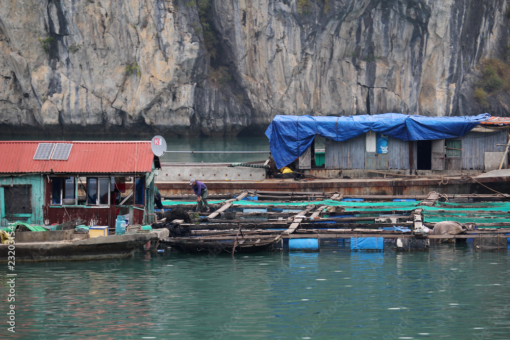 Local fishermen`s boats at Cat Ba island in Ha Long bay, Vietnam - obrazy, fototapety, plakaty 