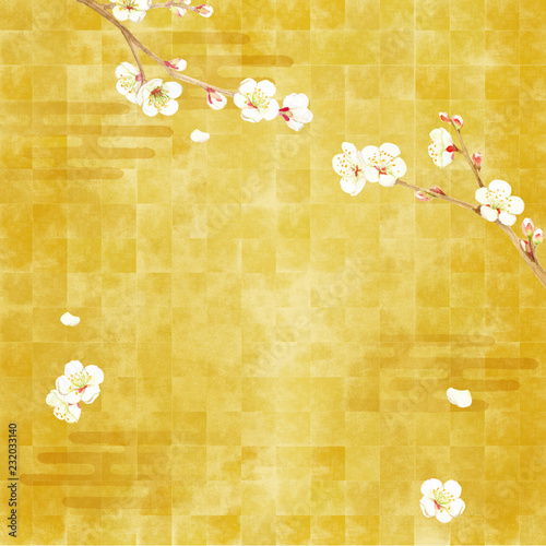梅　水彩　背景イラスト