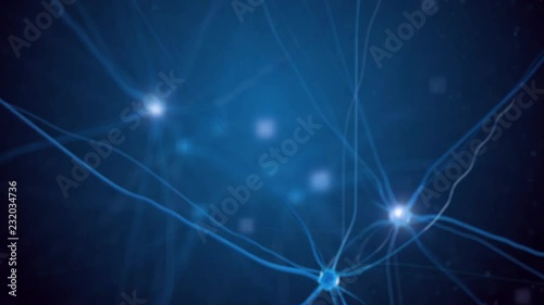 Fly through neuron cells (loop video)
