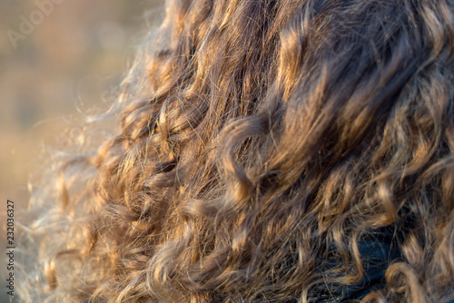Curls of light curly hair  fragment  close-up