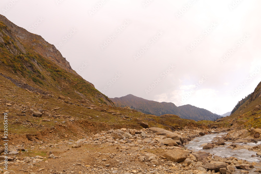 Fototapeta premium road in the mountains
