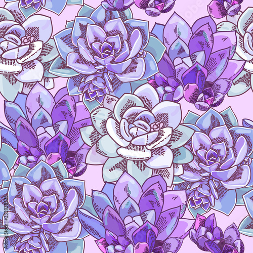 Beautiful succulents decoration design. Floral seamless pattern. Botanical illustration.