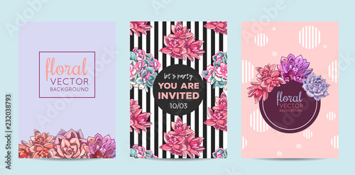 The collection of illustrations with beautiful succulents decoration. Vector floral set. Botanical and abstract geometric background template.