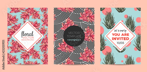 The collection of illustrations with beautiful succulents decoration. Vector floral set. Botanical and abstract geometric background template.