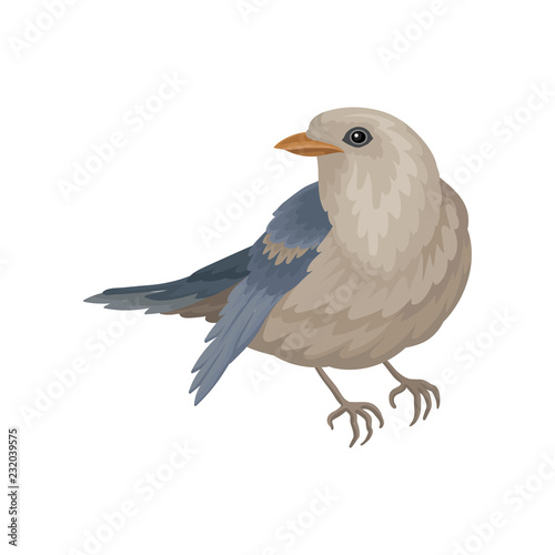 Pigeon with blue-gray plumage. Winter bird with small head and short legs. Wild feathered animal. Flat vector icon