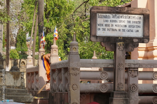  Reliefs on the walls of the Mahabodhe temple, Bodhgaya, Bihar, India photo