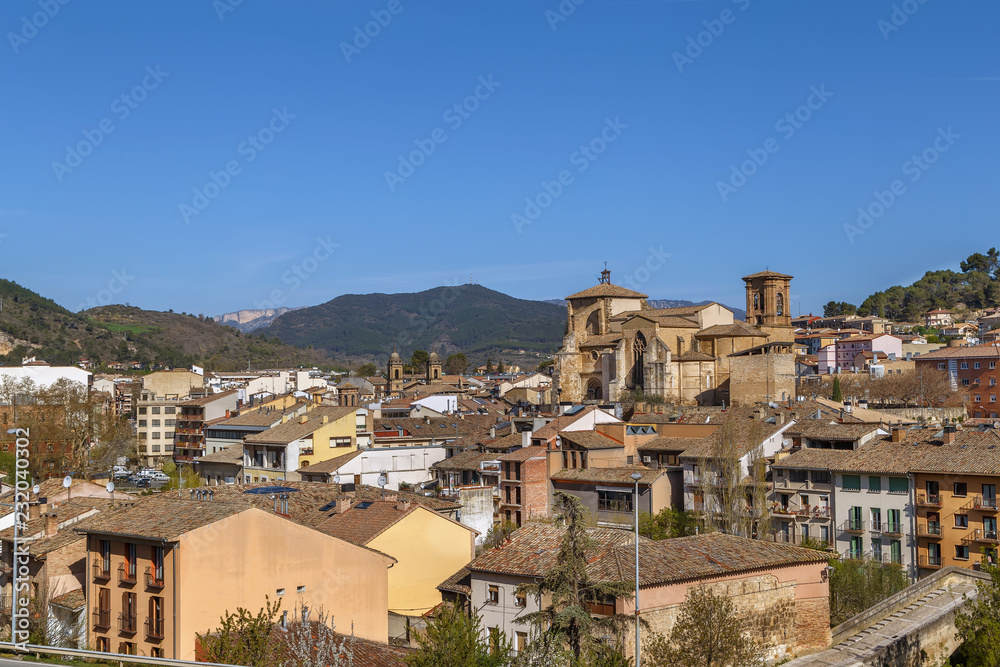 Obraz premium View of Estella, Spain