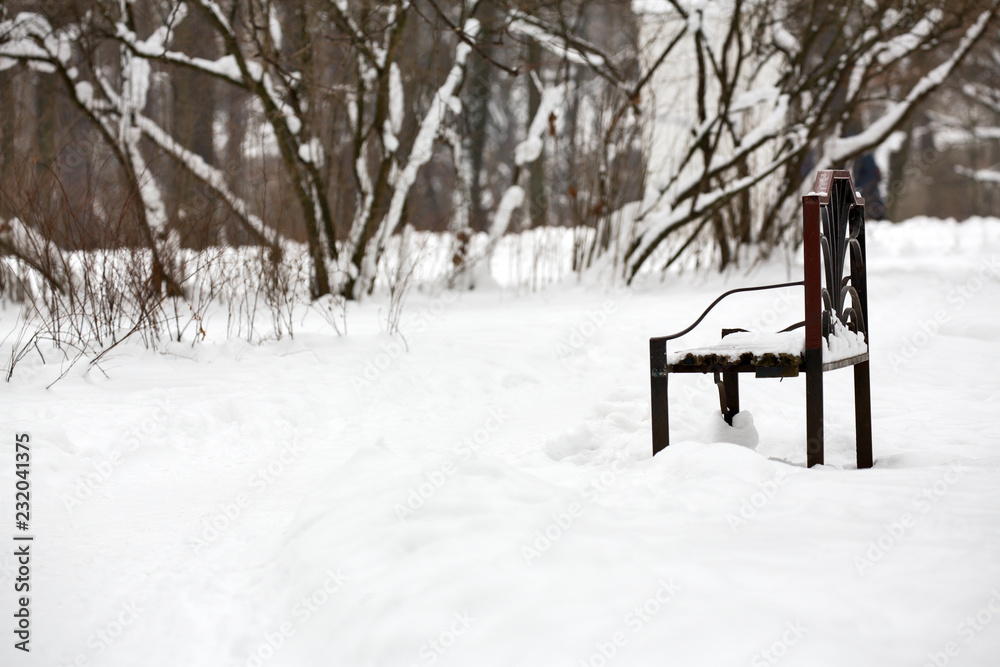 dark bench in winter snow park
