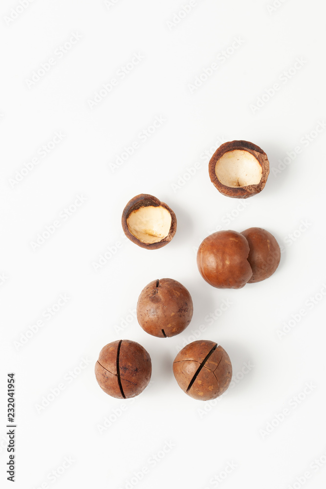 Macadamia nuts are unshelled with shells on white background Macadamia nuts are unshelled with shells on white background