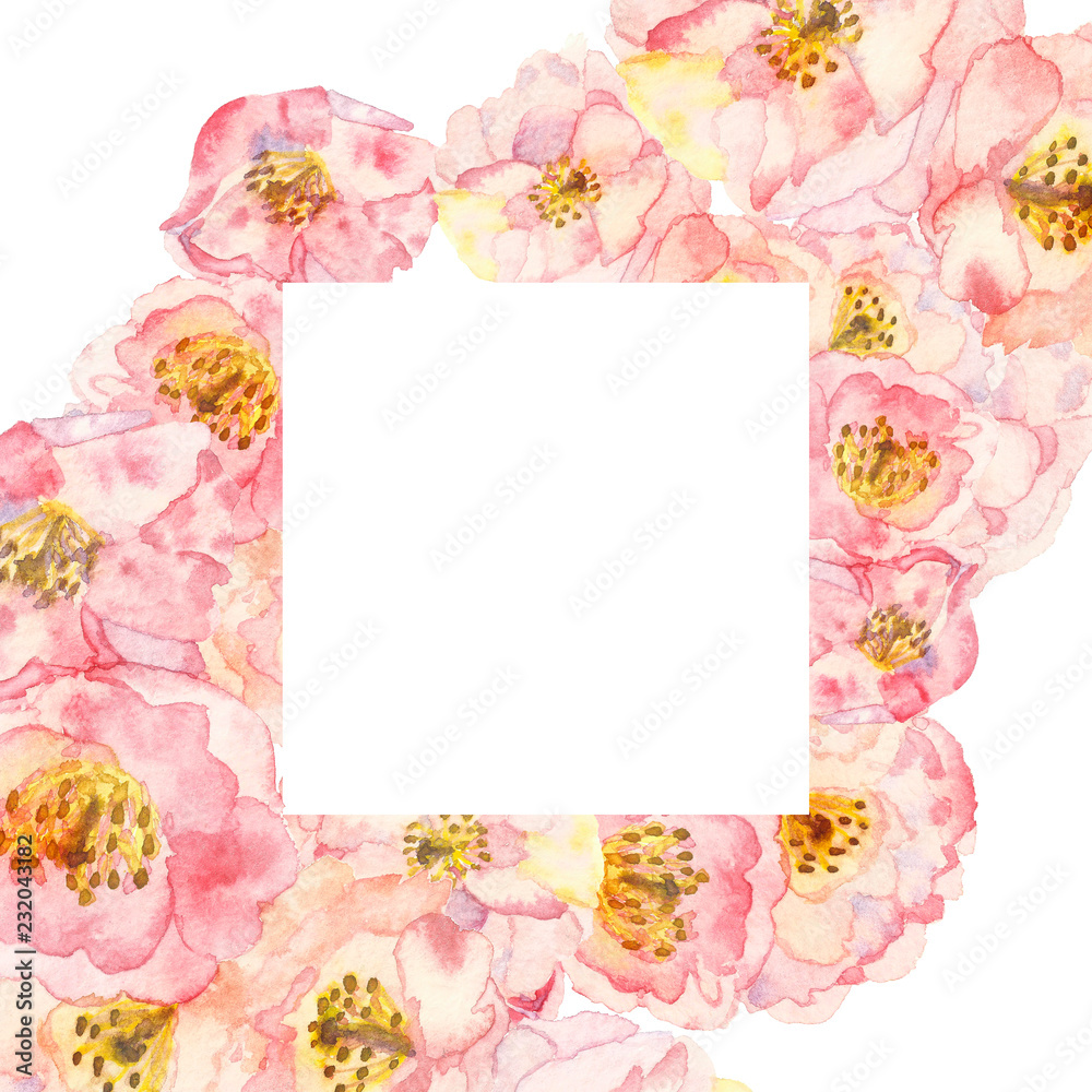 the era of flowering almonds, spring. pink almond Watercolor flowers on branches without leavesisolated on white background the era of flowering almonds, spring. pink almond Watercolor flowers on branches without leavesisolated on white background