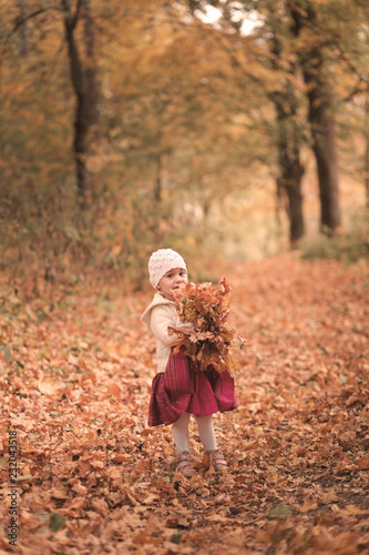 Cute little girl playing wi...
