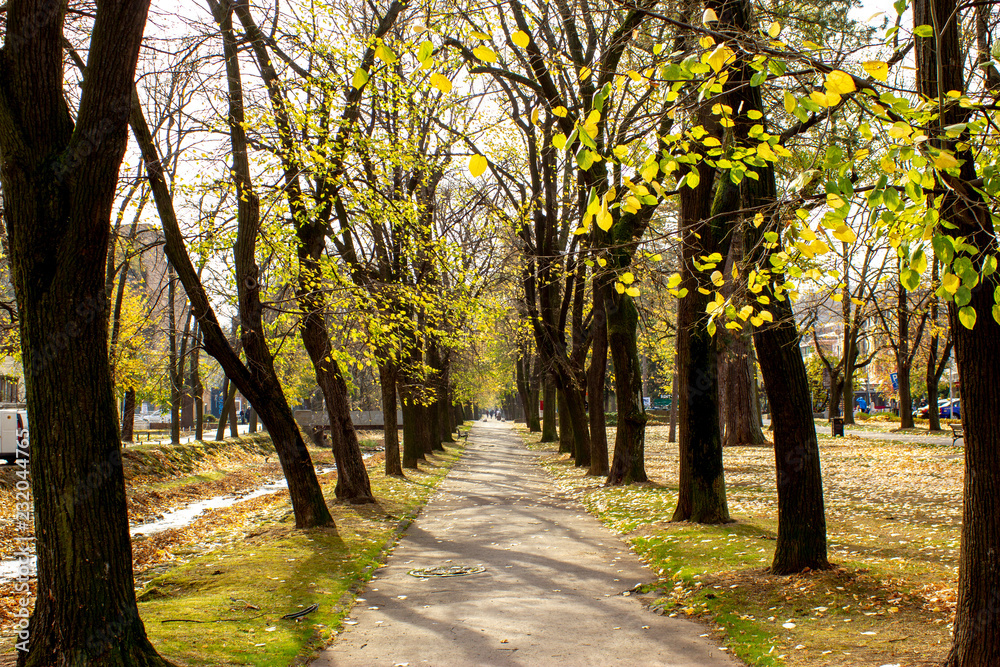 Public park in autumn - Vrnjacka Banja, Serbia.. Vrnjacka Banja is a popular tourist destination in Serbia, a place that every year visit a millions of tourist. Also, here is placed a several source o