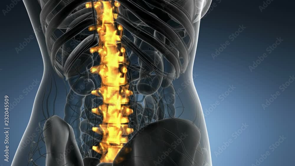 science anatomy of human body in x Biology Diagrams