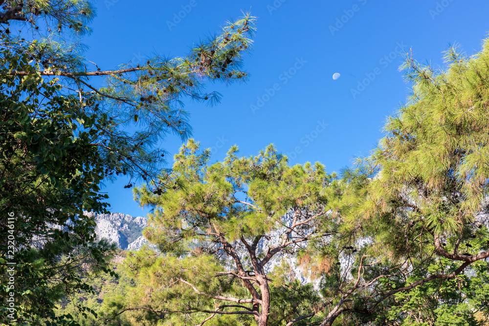 Morning, moon on a blue cloudless sky, Taurus mountains in the background, Turkey Morning, moon on a blue cloudless sky, Taurus mountains in the background, Turkey