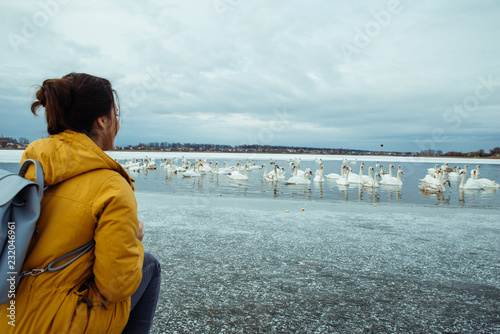woman feed swans on winter lake © phpetrunina14