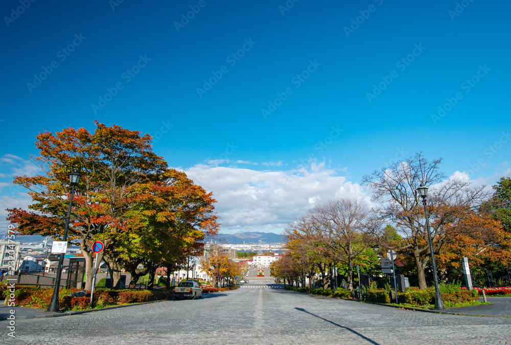 Fototapeta premium 【北海道函館】基坂・明治時代に里数を測る基点となる「里程元標」が立ったことからこの名がついた。