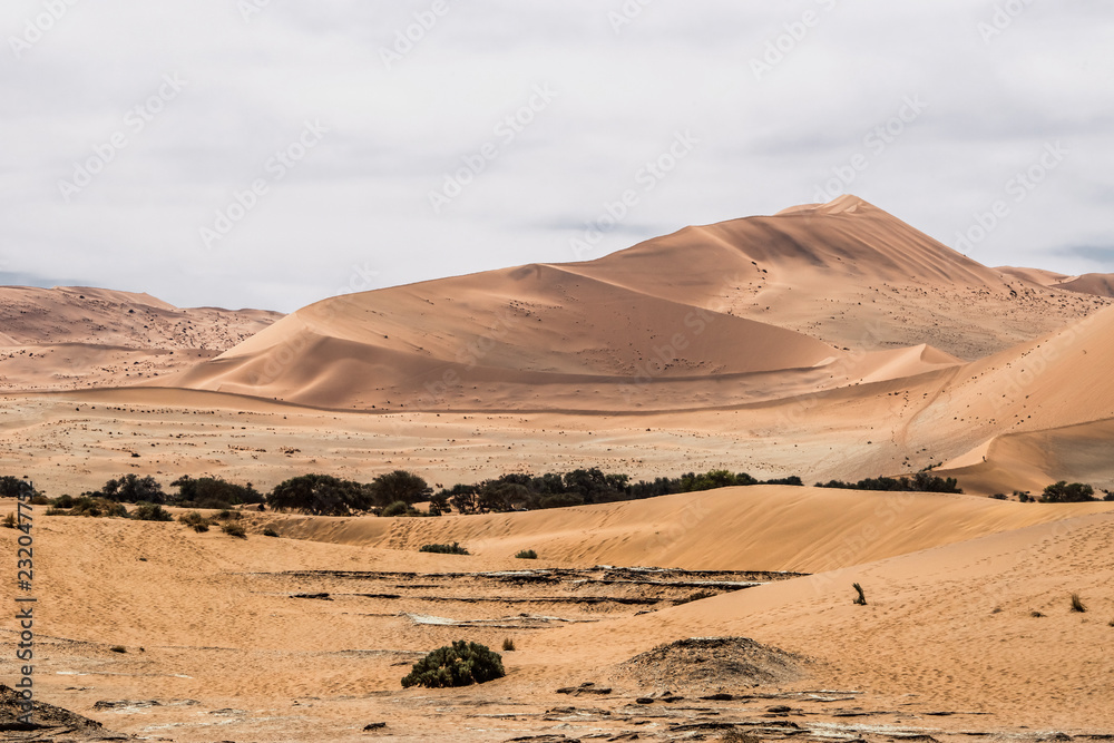 Sossusvlei dunes in cloudy day. Namib naukluft national park, Namib desert, Namibia.