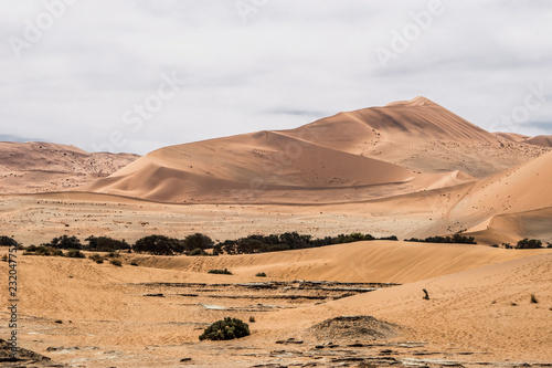 Sossusvlei dunes in cloudy day. Namib naukluft national park, Namib desert, Namibia.