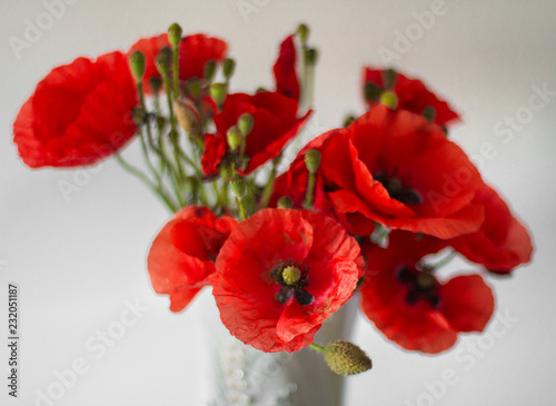 Fototapeta Naklejka Na Ścianę i Meble -  bouquet of field poppies