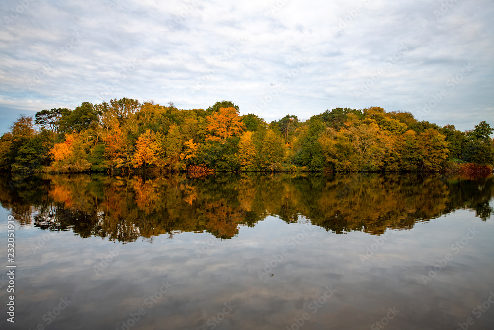 Birds flying over the trees wearing the autumn color leafs reflected on the calm water Birds flying over the trees wearing the autumn color leafs reflected on the calm water