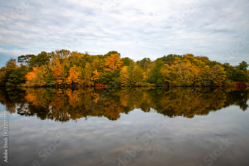 Birds flying over the trees wearing the autumn color leafs reflected on the calm water