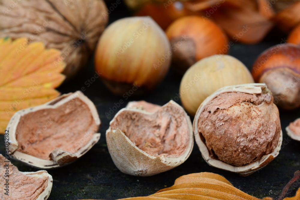 Peeled hazelnut close up