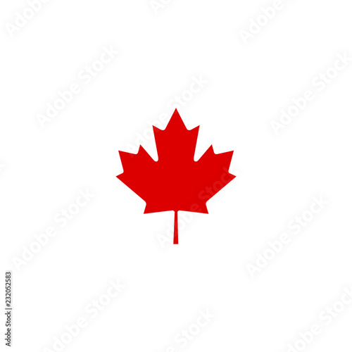 Canadian mapple vector illustration