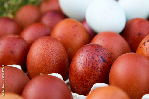 natural ecological eggs of brown and blue color
