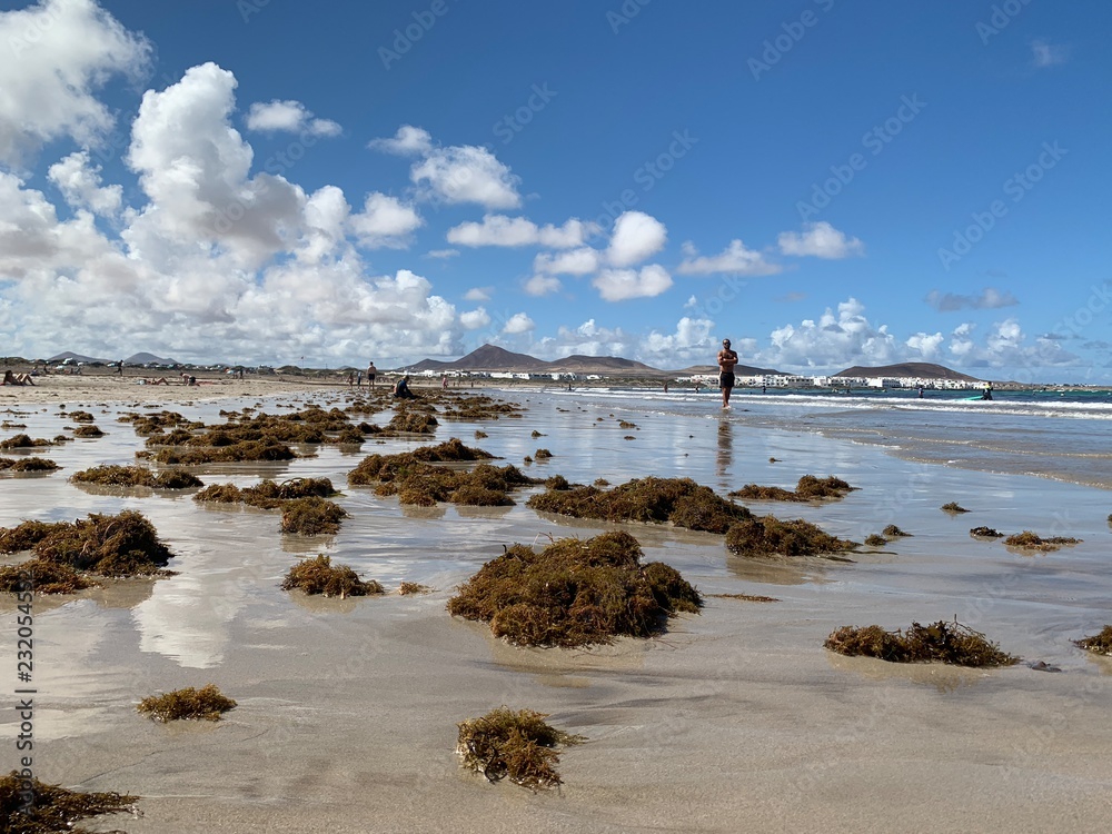 Obraz premium huge and amazing Famara beach at the Lanzarote, Canary Islands
