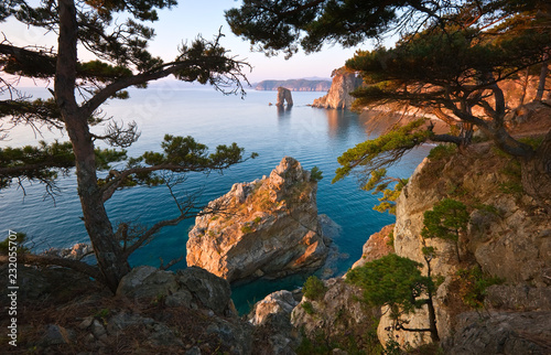 Wild sea coast at sunrise.