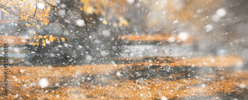 Background autumn park in the first snow