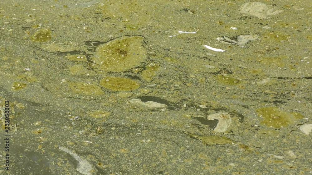 Pollution from fuel and oil spill floating and flowing in dirty water Pollution from fuel and oil spill floating and flowing in dirty water