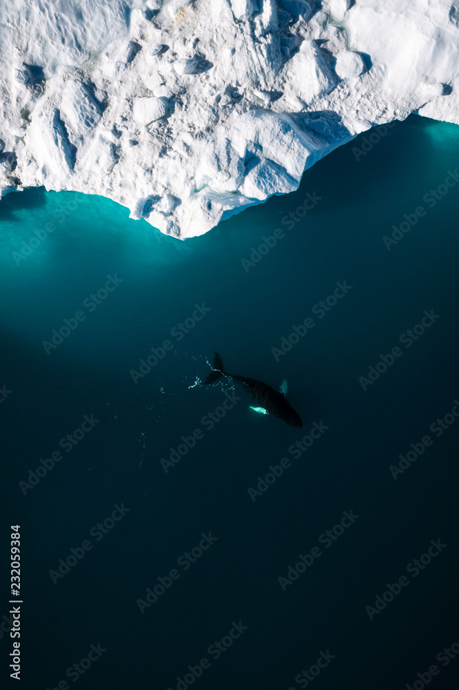 Minimalistic aerial view of icebergs and a humpback whale in Greenland Minimalistic aerial view of icebergs and a humpback whale in Greenland