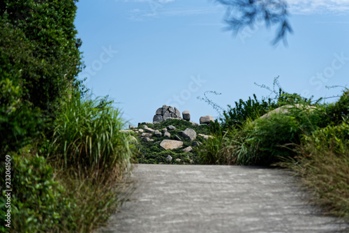 road, green jungle and blue sky