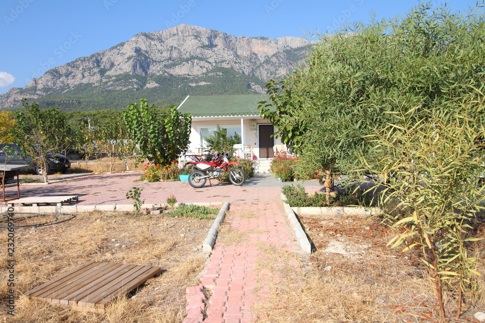 Fototapeta premium house on the beach