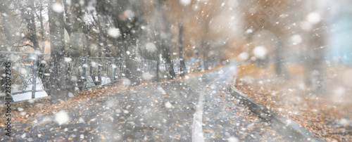 Background autumn park in the first snow