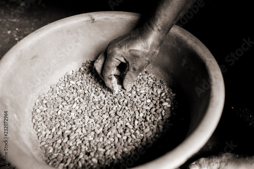 фотографія skinny african person hand touching pot of beans in african during difficult fam
