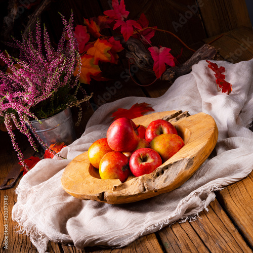 Malus sylvestris, the tasty European crab apple, photo