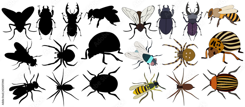 Fototapeta premium set of silhouettes of different insects