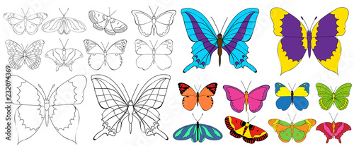 isolated  set of beautiful butterflies coloring book