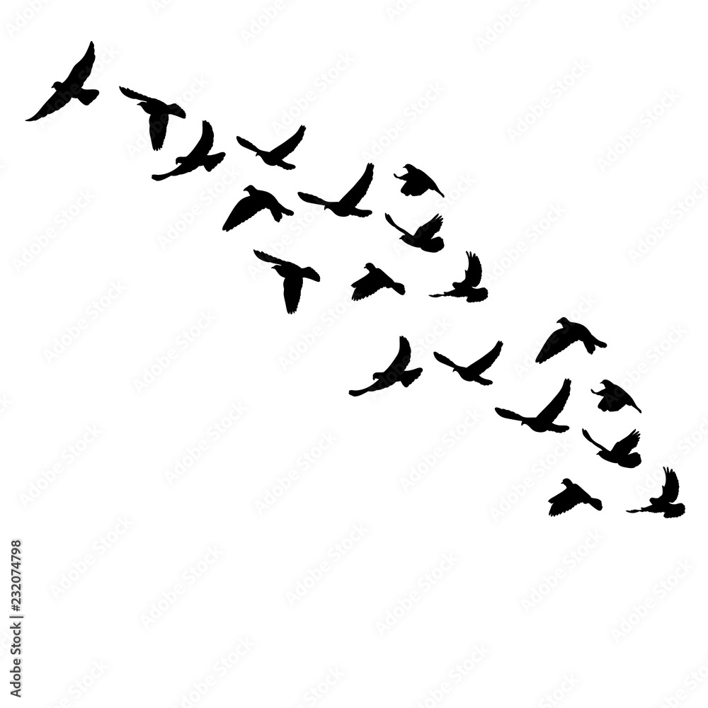 vector isolated flock of a bird flying silhouette vector isolated flock of a bird flying silhouette