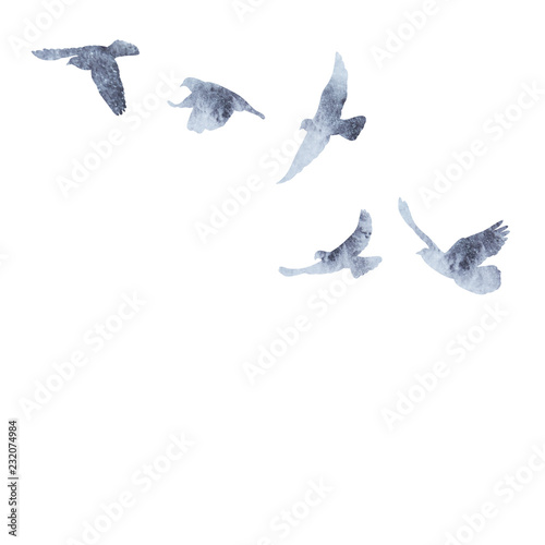 isolated flock of birds flying, gray watercolor silhouette