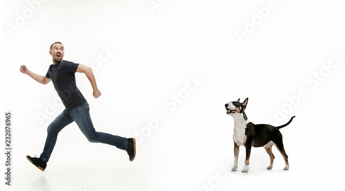 Emotional Portrait of scared man and his dog, concept of friendship and care of man and animal. Bull Terrier type Dog on white studio background