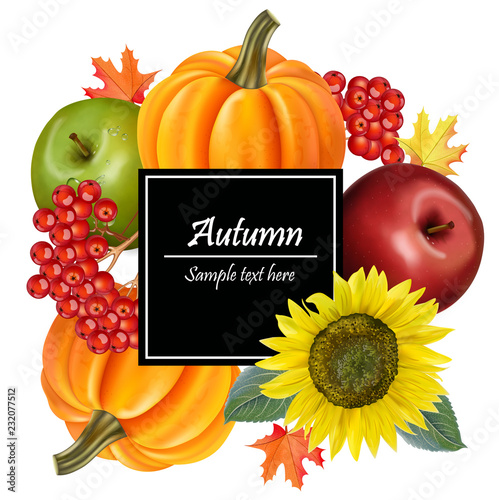 Autumn harvest Vector realistic. Sunflower,pumpkin, apples detailed illustrat...