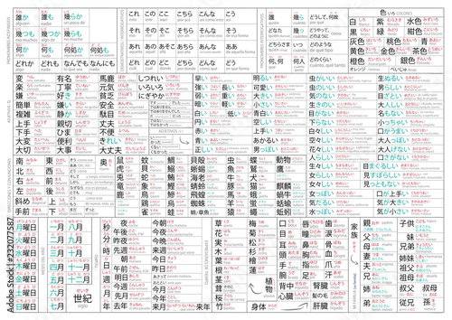Japanese vocabulary for beginners