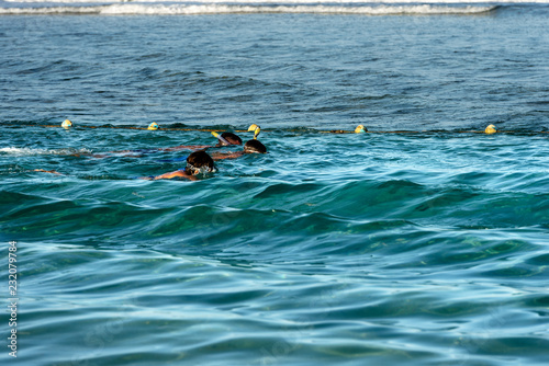 Snorkeling over the Coral Reef - Red Sea Egypt