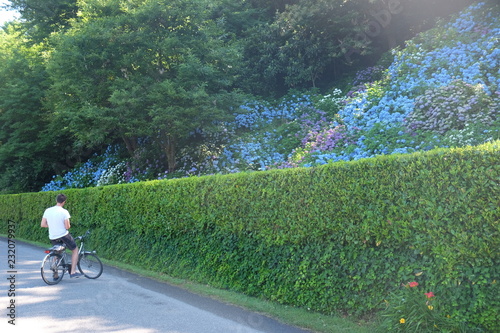 Colourful garden and biker