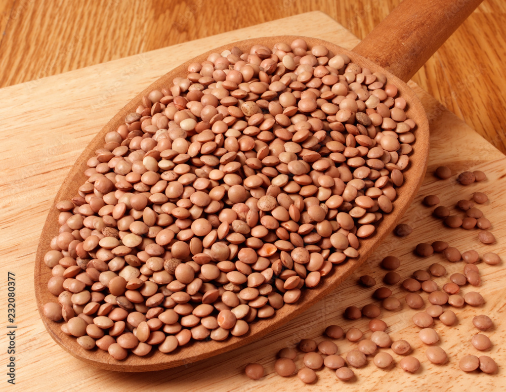 Fototapeta premium BROWN MASOOR LENTILS