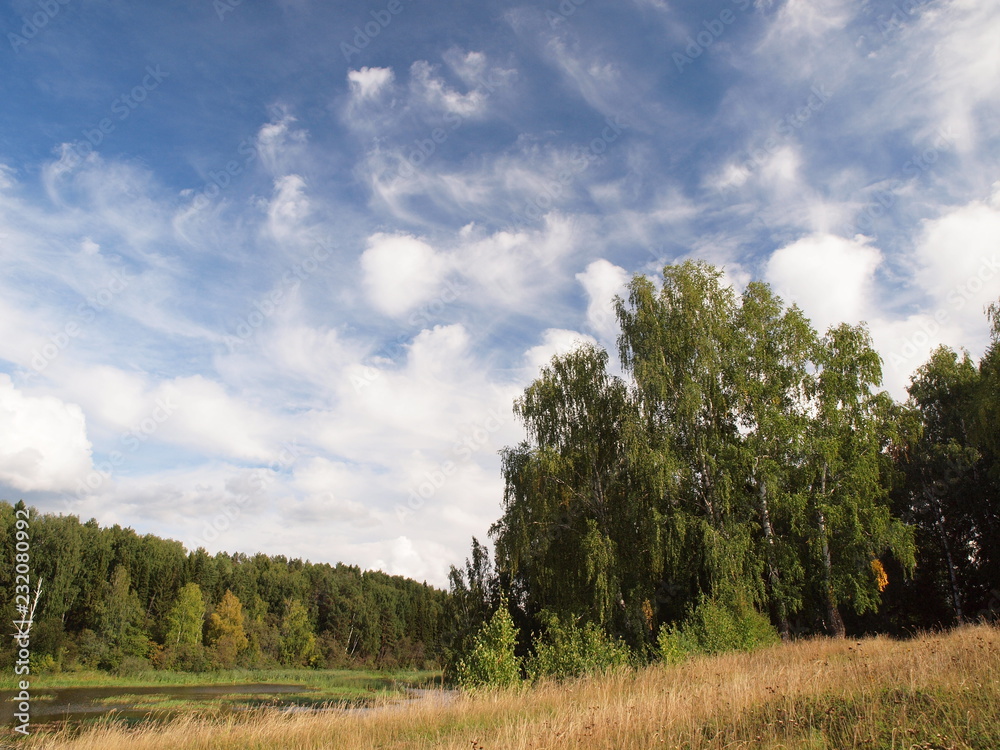 Russian forest. Beautiful sky with clouds. Russian summer nature. Russia, Ural, Perm region