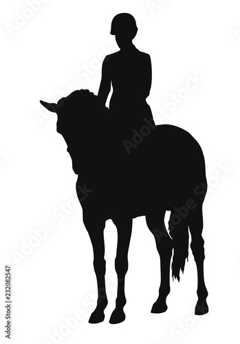 A silhouette of a rider and the horse stand still.